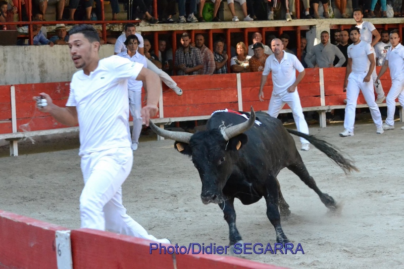 Boris SANCHIS 06 09 15 ( D Segarra) (800x534)