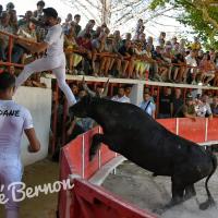 Boucanier guillierme enzo bernard