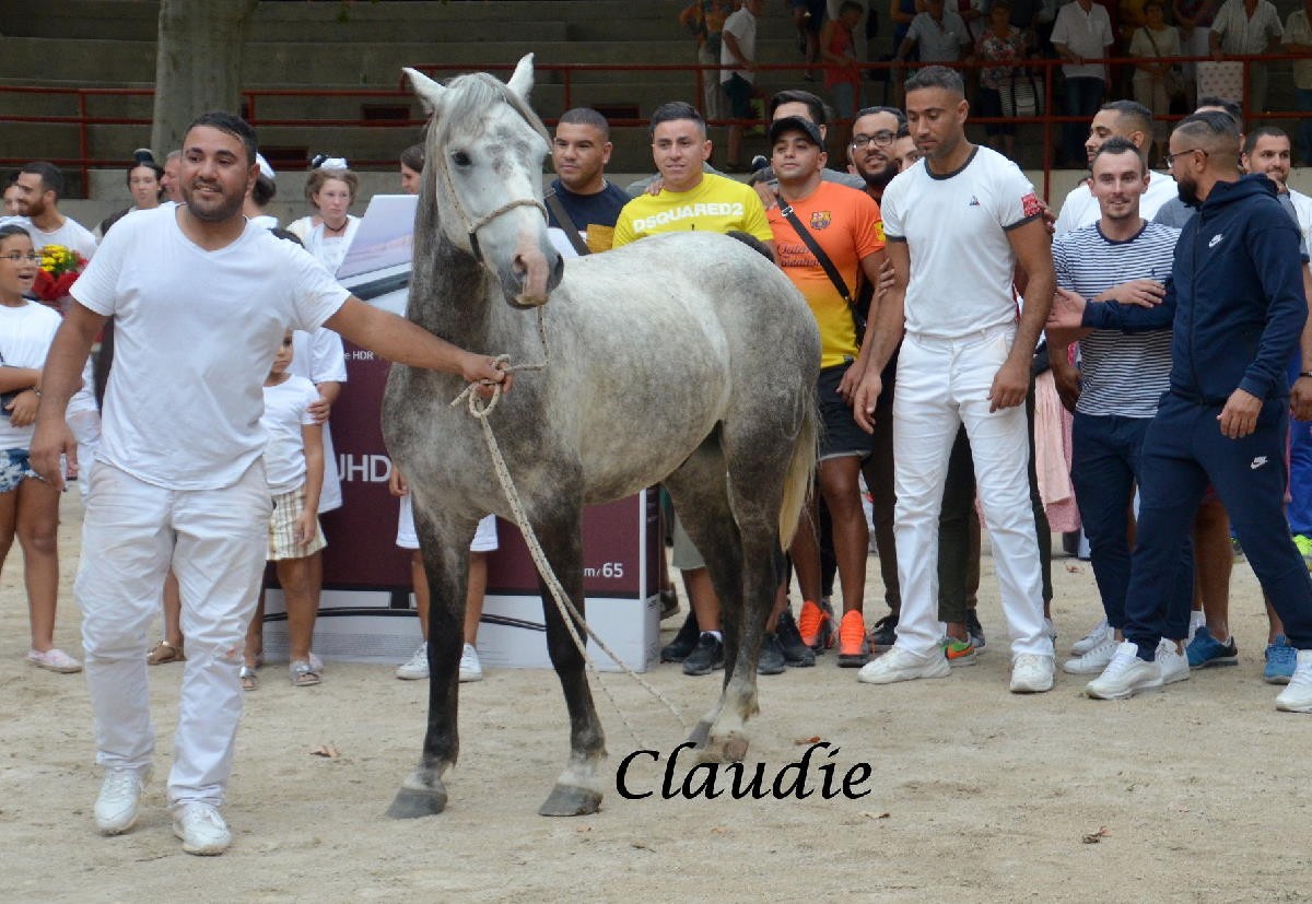 Cadeaux nabil