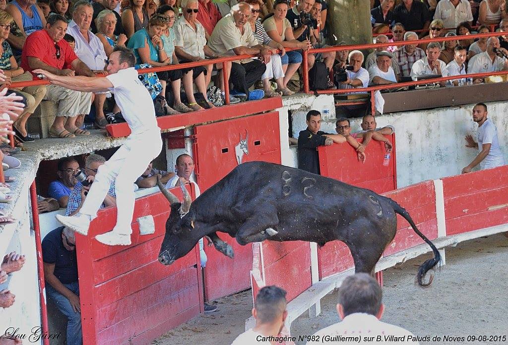 Carthagene Guillerme B Villard 1 09-08-15