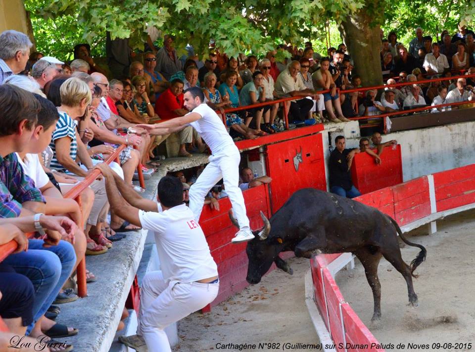 Carthagéne Guillerme S Dunan 09-08-2015