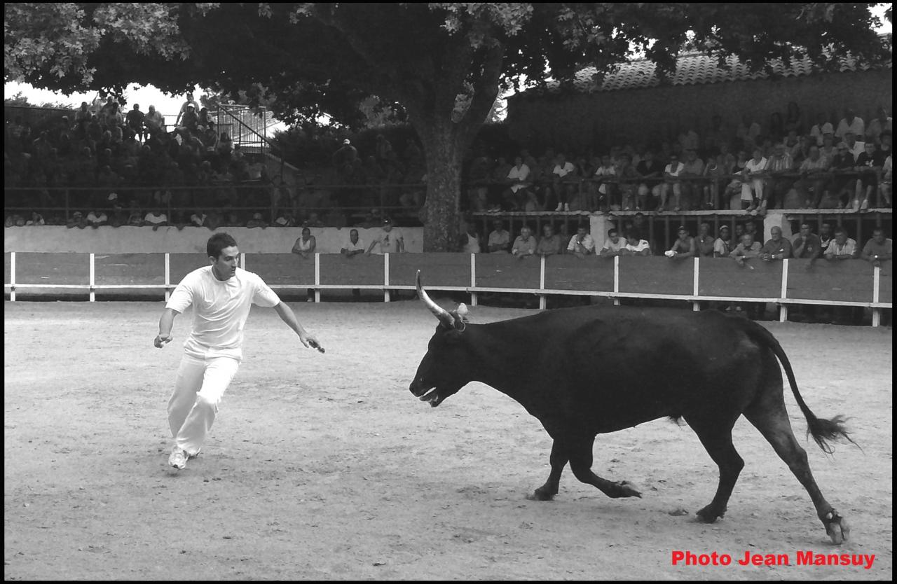 Cat Nègre Guillerme Garrido Ch 16 08 08