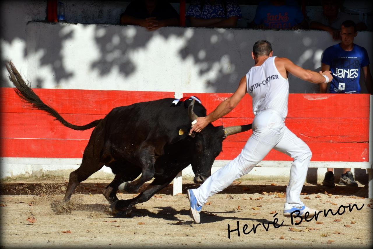 Cenevet PLO Damien Martin COCHET 10 08 2014