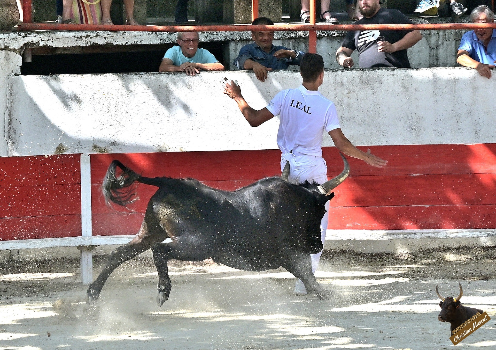 Charmeur lautier leandro leal