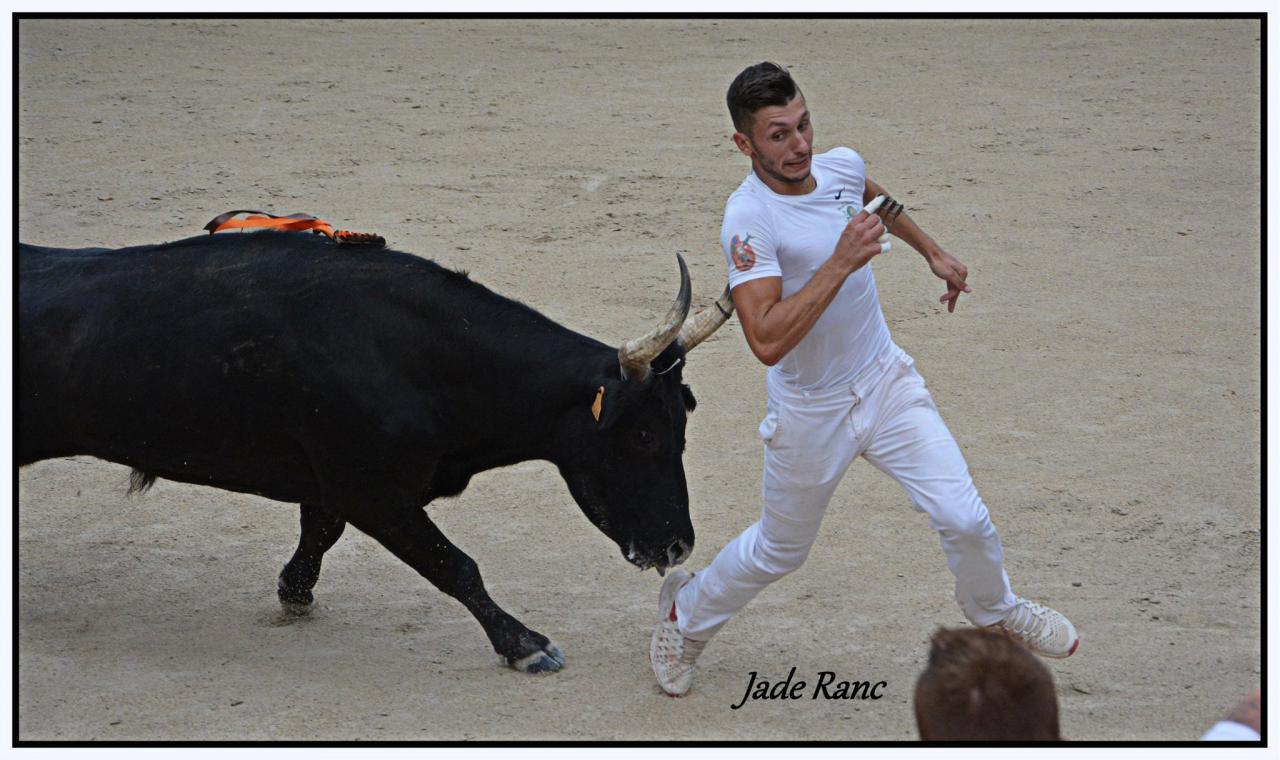 Chicharito Caillan1 Vincent Marignan 04 09 16