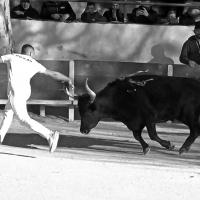 Chicharito manade caillan h dunan