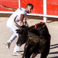 Chicharito manade caillan hugo dunan