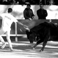 Chicharito manade caillan m boukharta 1