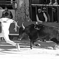 Chicharito manade caillan m boukharta 3