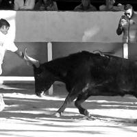 Chicharito manade caillan m boukharta 4