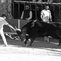 Chicharito manade caillan m boukharta 5