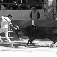 Chicharito manade caillan m boukharta 6