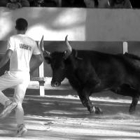 Chicharito manade caillan m boukharta