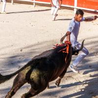 Chicharito manade caillan milan boukharta