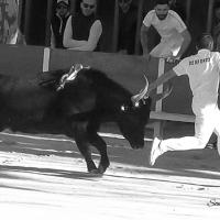 Chicharito manade caillan n desfonds