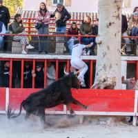 Connemara caillan nicolas desfonds