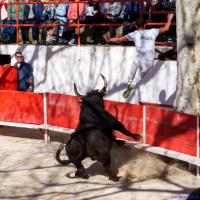 Constantin cuille kais milan boukarta