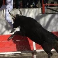 Constentin cuille 24 03 24