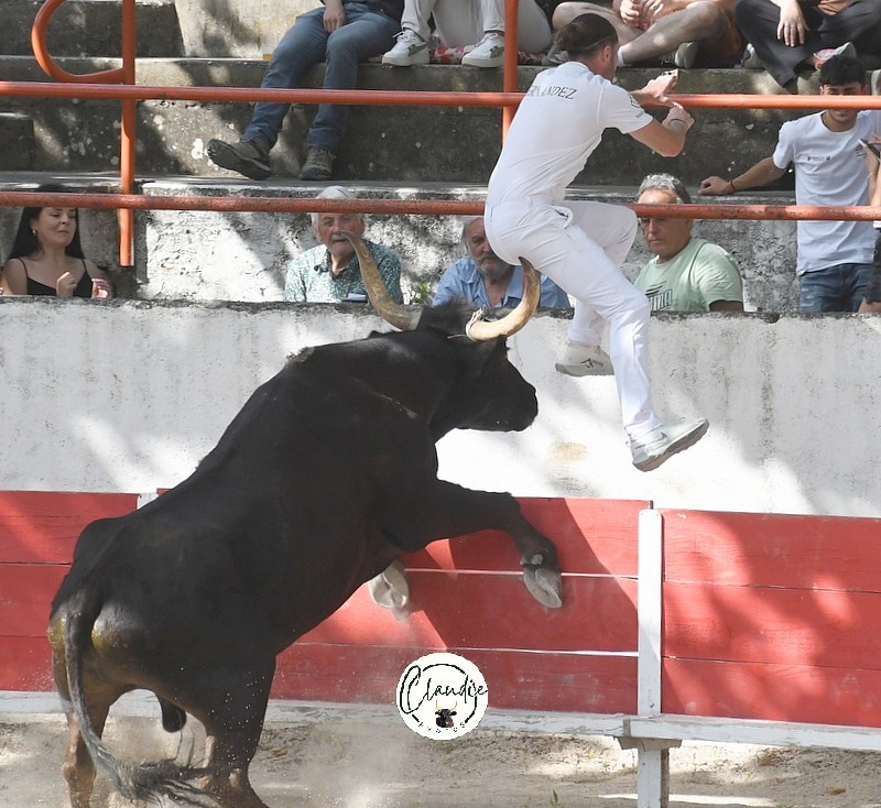 Croquant cuille quentin fernandez