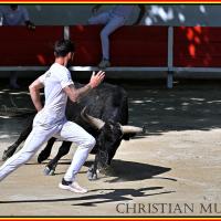 Dandy j bon e bernard