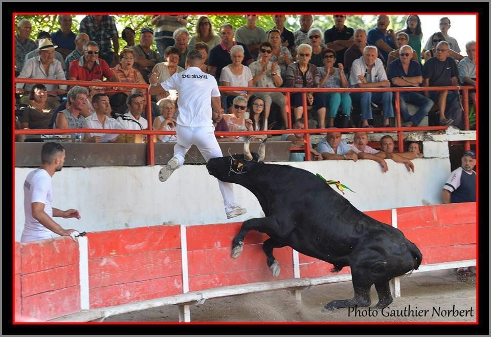 Deslus finale 2019