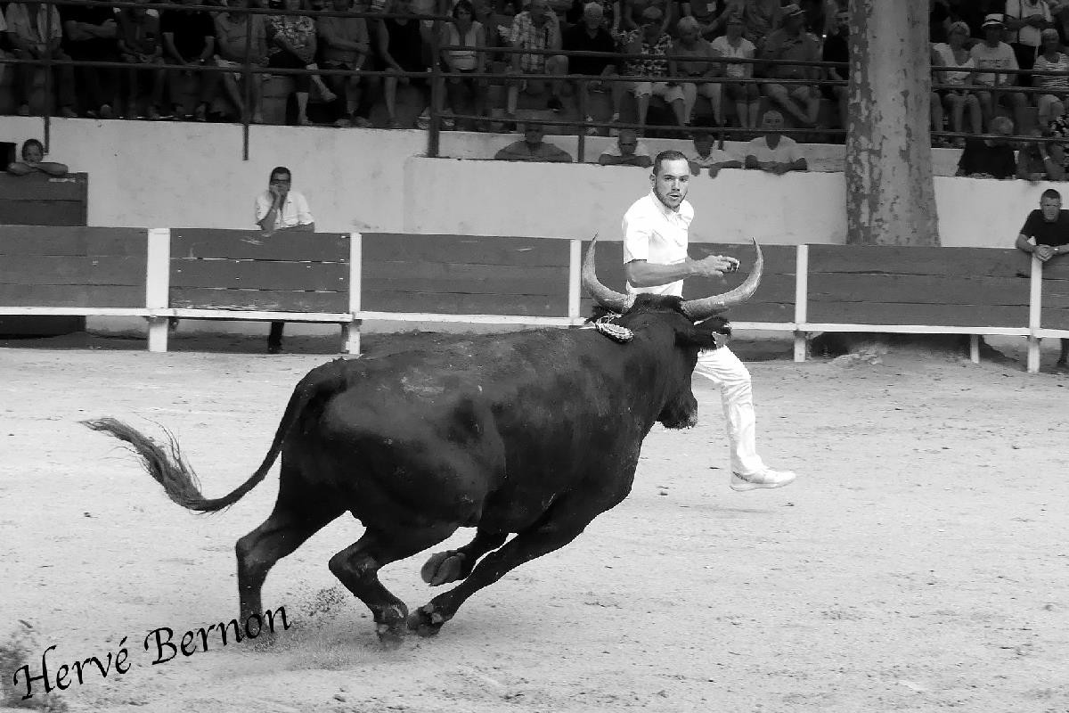 Diamond chauvet l bressy