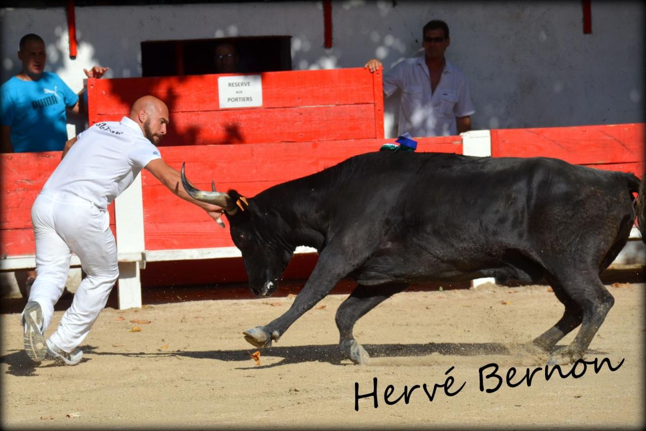 Diogene Fabre MAILHAN Alexandre GLEIZE 10 08 2014