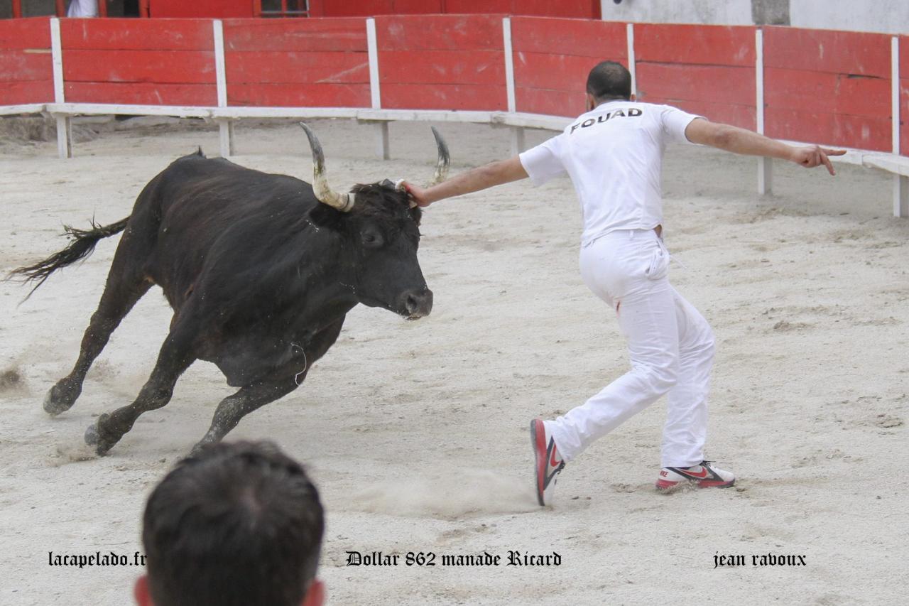 Dollar RICARD Fouad