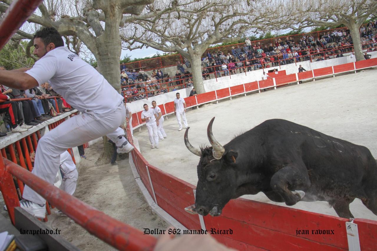 Dollar RICARD Nabil Benafitou2