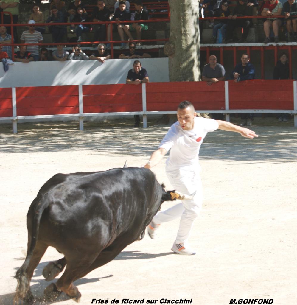 13 avril 2014