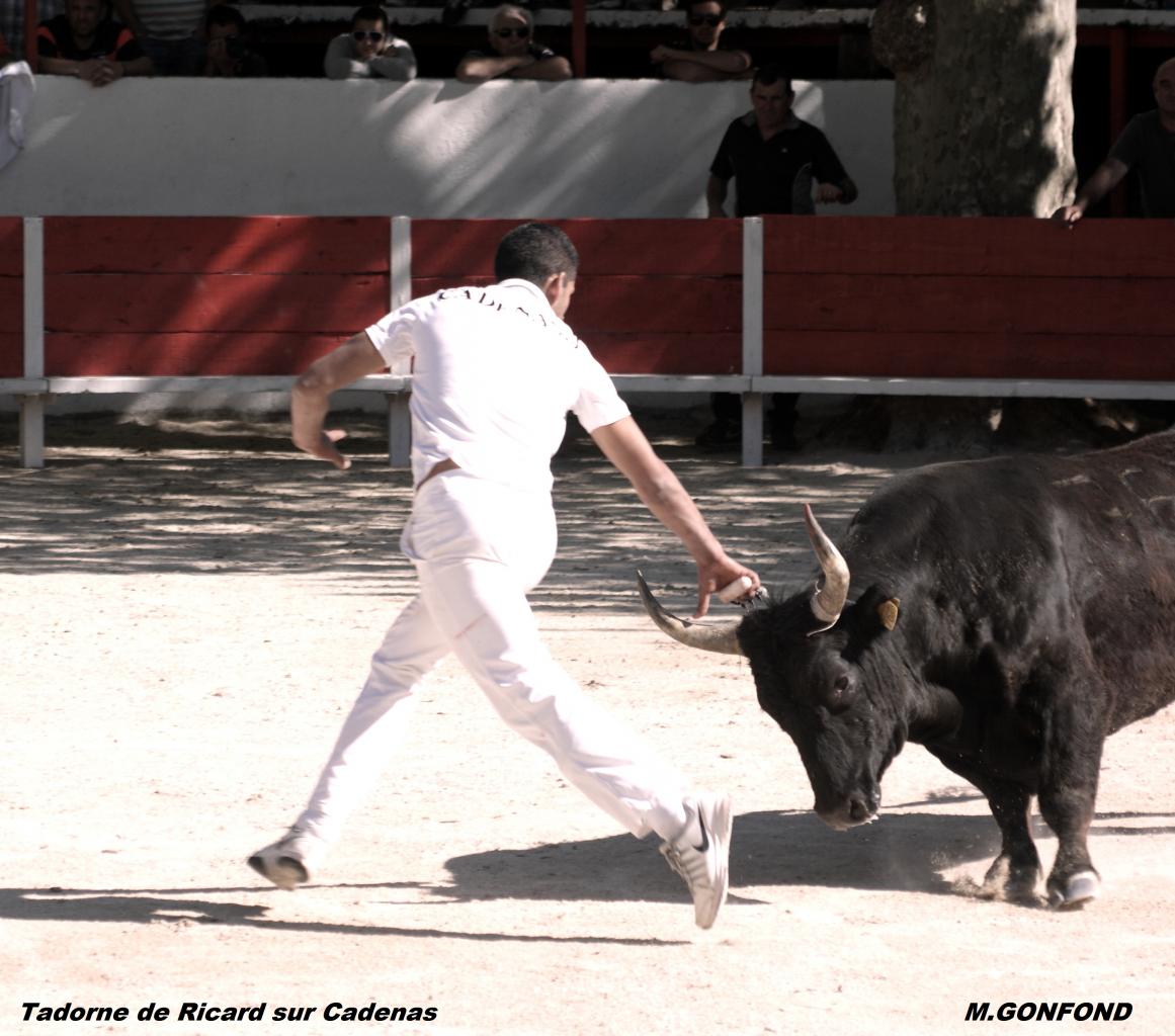 13 avril 2014