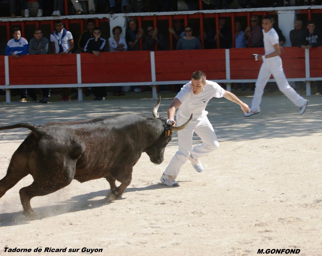 13 avril 2014