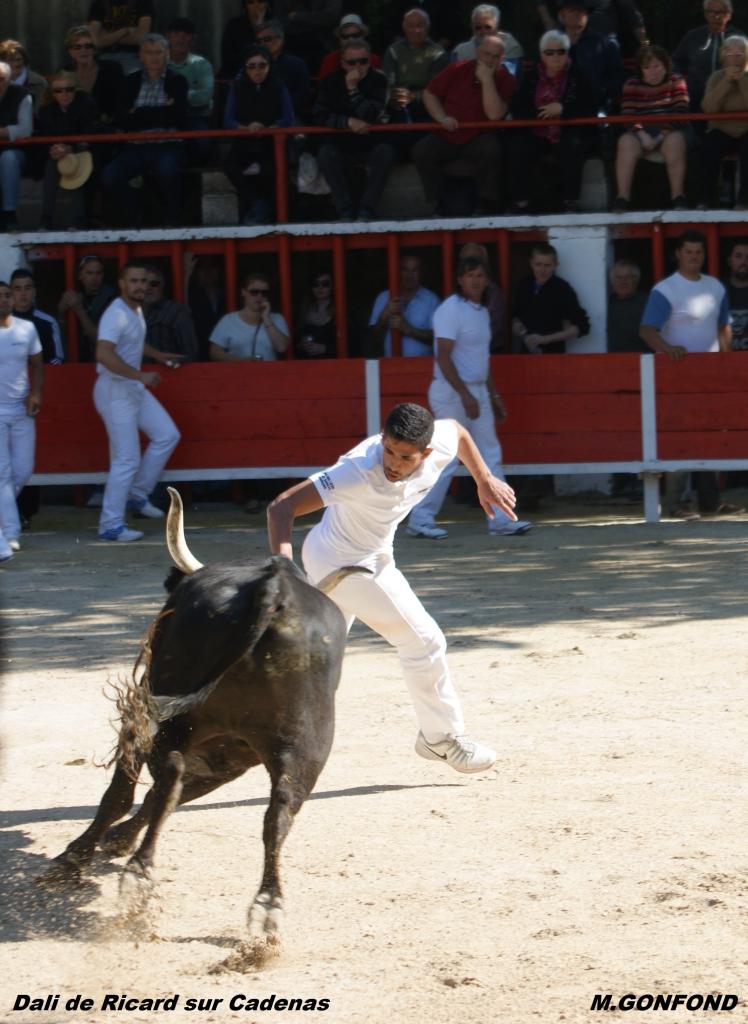 13 avril 2014