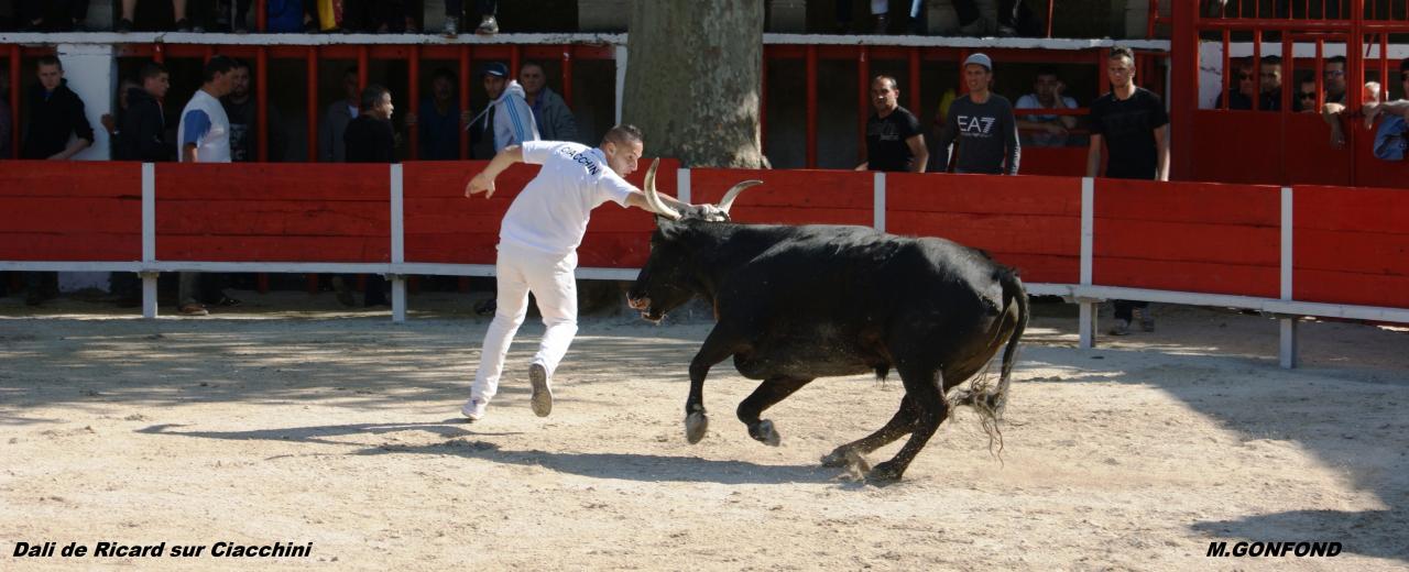 13 avril 2014
