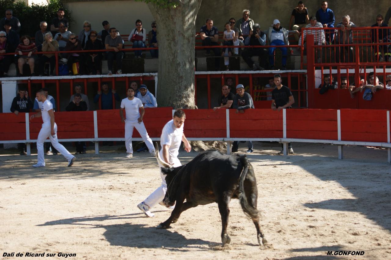 13 avril 2014