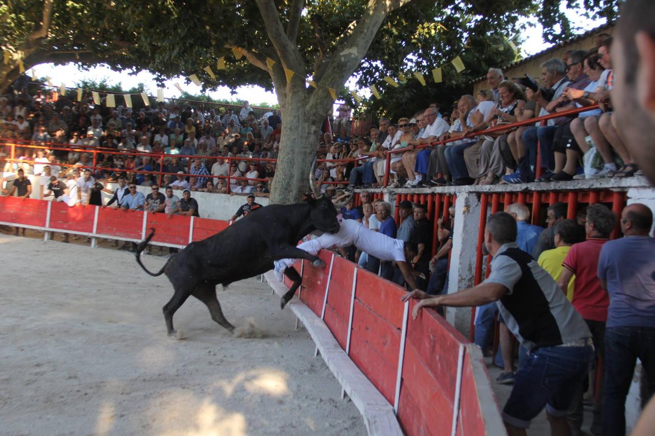 Esmero CAILLAN N Benafitou 01_09-2013 Photo Laurent Guillaume