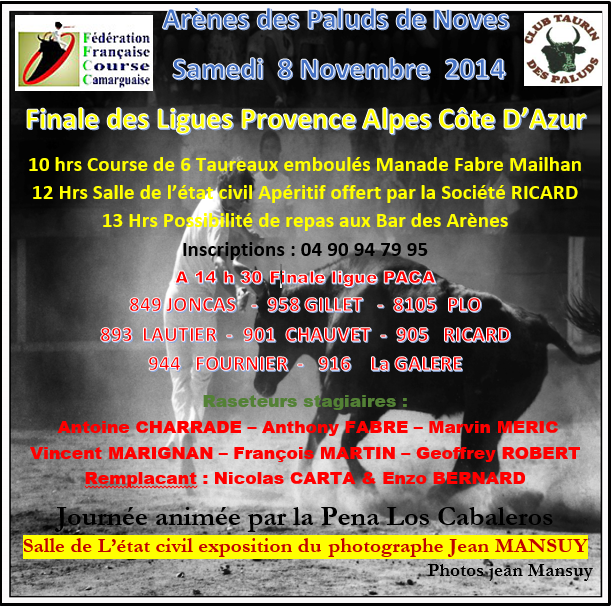 Finale Ligue PACA 2014