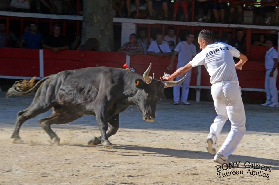Frisé Ricard S Zbiri 27 07 2014