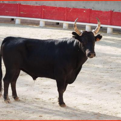 Photos & comptes rendus des courses