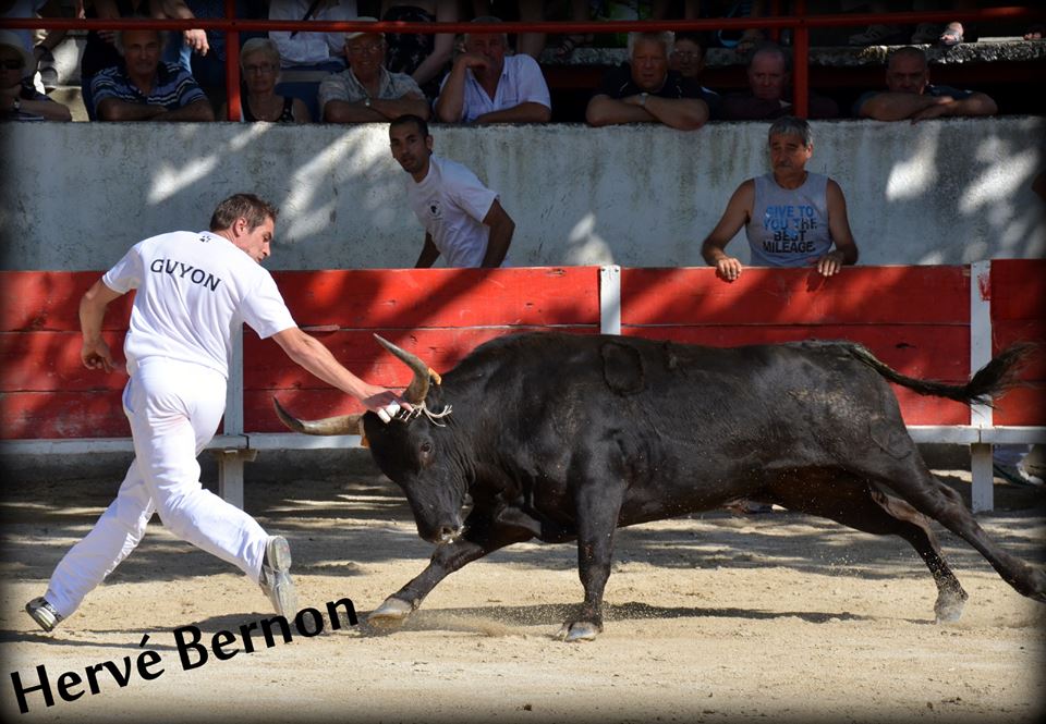 Givalond CUILLE R Guyon 16 juin 2013