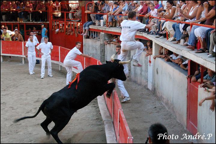 Guingue Caillan R Guyon St Roch 2006