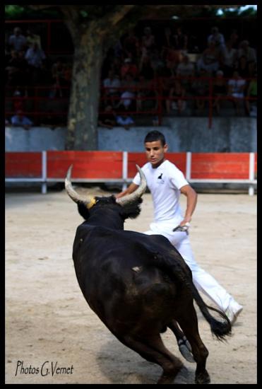 8 Aout Virgile Félix _ Allam