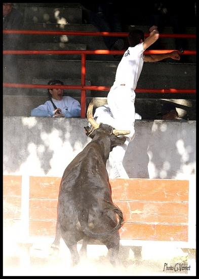 20 juin Brechu  Cuillé _ Favier M