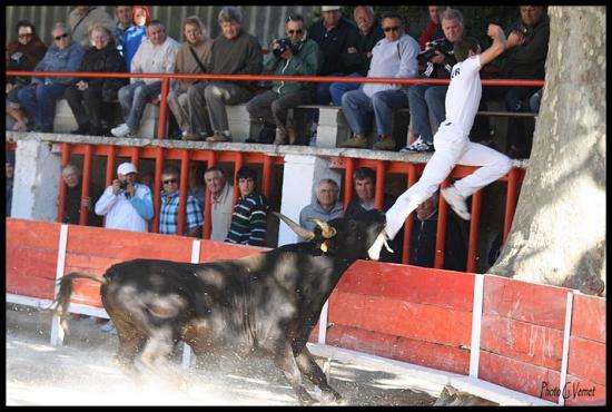 20 juin Racanel  Cuillé _ Favier M