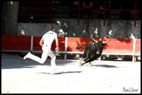 20 juin Racanel  Cuillé _ Favier M