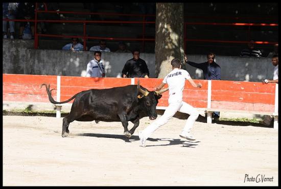 20 juin Racanel  Cuillé _ Favier M