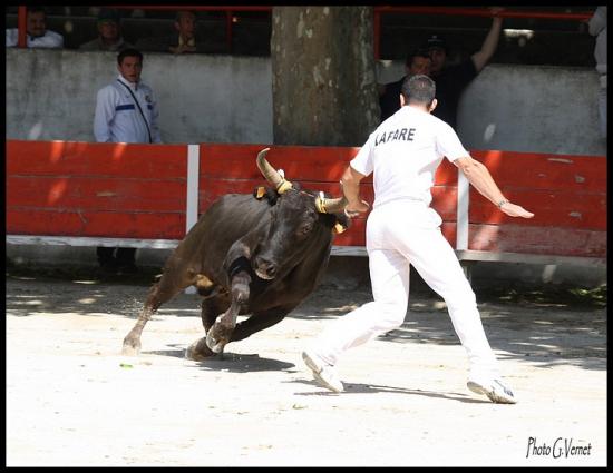 20 juin Loubard  Cuillé _ Lafare J