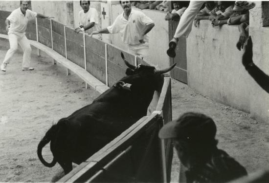 MINOS Lautier 1999 (Ph Bruno RAFFIN)