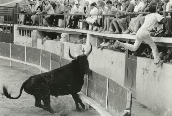 Finale 1999 aux Paluds(Ph Bruno RAFFIN)