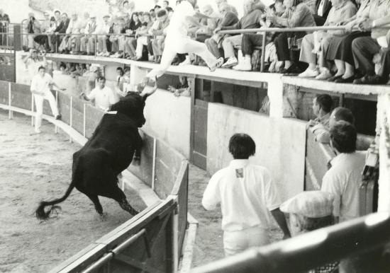 Protection Aout 1999  J . BON(Ph Bruno RAFFIN)